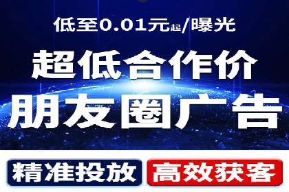 行业领先SEM服务公司案例研究
